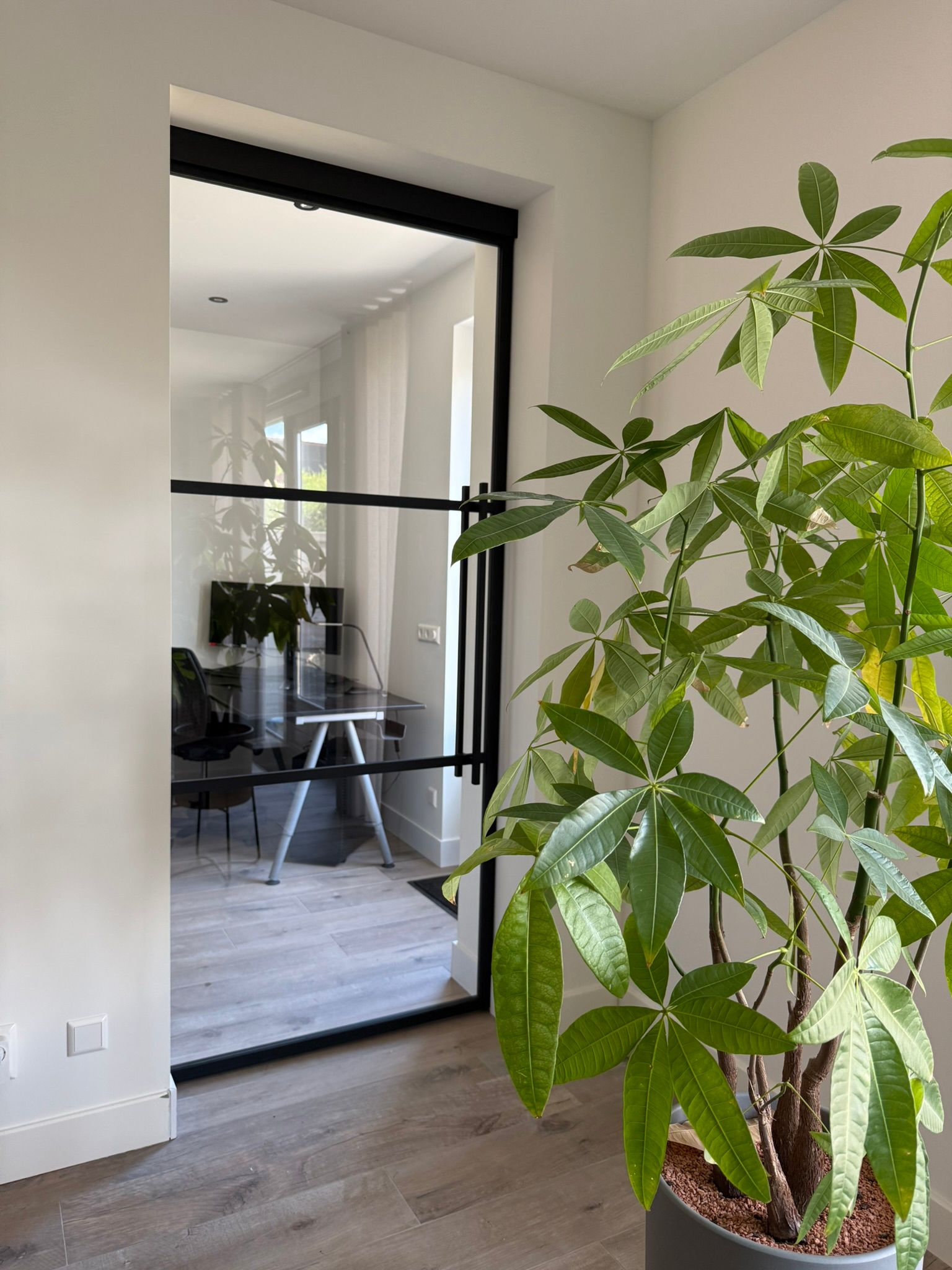 Minimalistische Glazen Deur